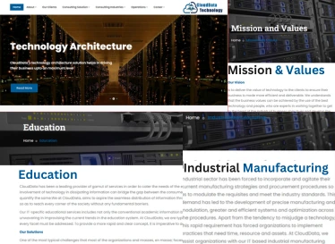 CDT Website